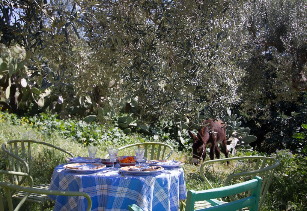 Lunch under the Olives in Sicily, copyright Jann Huizenga