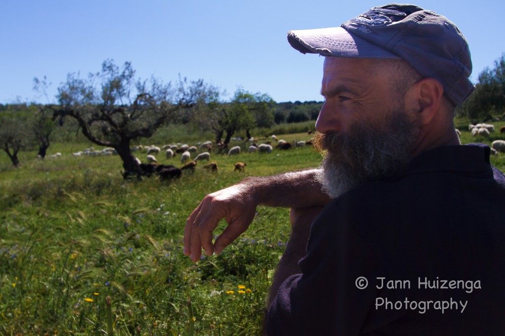 Sicilian Shepherd, copyright Jann Huizenga