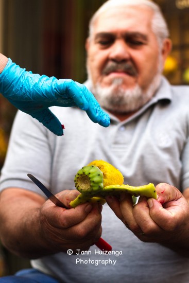 Use gloves with prickly pears, copyright Jann Huizenga
